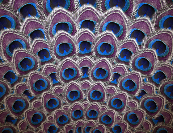 Bertolo Luxury Menswear - collection gallery 2