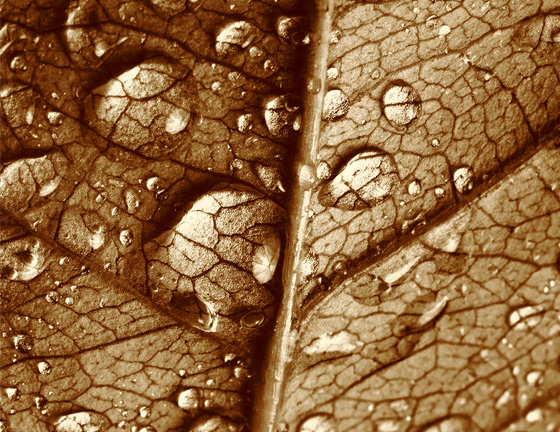 Bertolo Luxury Menswear - collection gallery 9